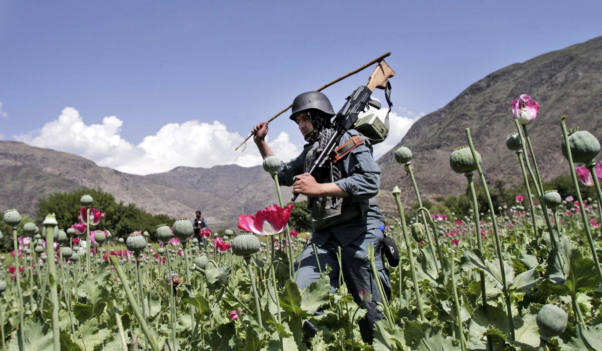 Afghan-Farmers-Suffer-Financial-Loss-of-Over-1-Billion-Following.jpg